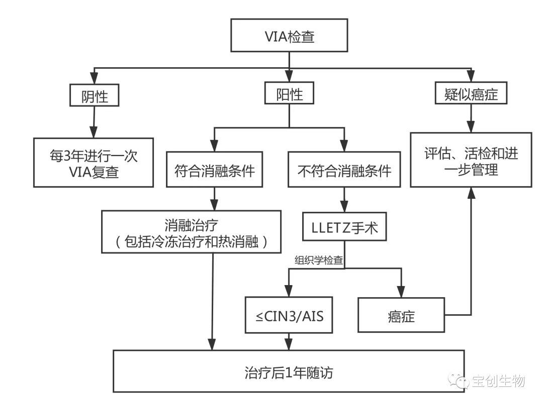 22_看图王.web.jpg