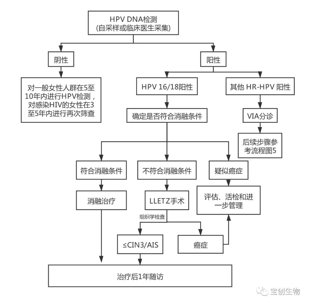 33_看图王.web.jpg