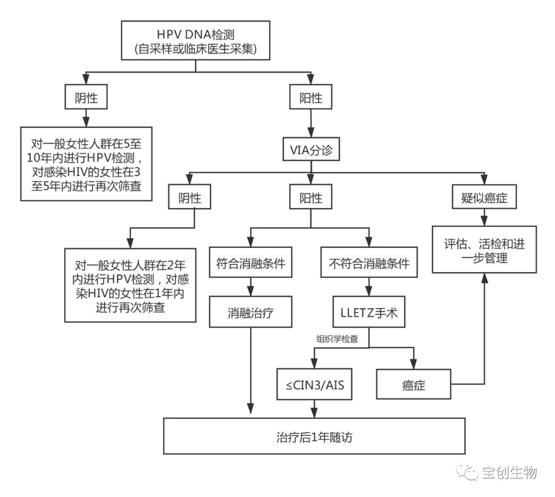 44_看图王.web.jpg