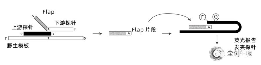 640 (10)_看图王.web.jpg