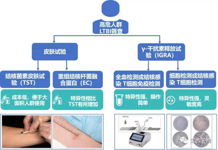 640 (13)_看图王.web.jpg