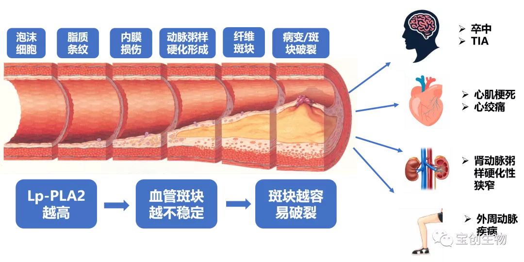 640 (20)_看图王.web.jpg