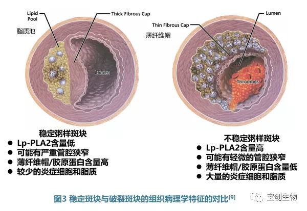 640 (22)_看图王.web.jpg